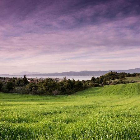 Topalidi'S Home Nea Palatia Dış mekan fotoğraf
