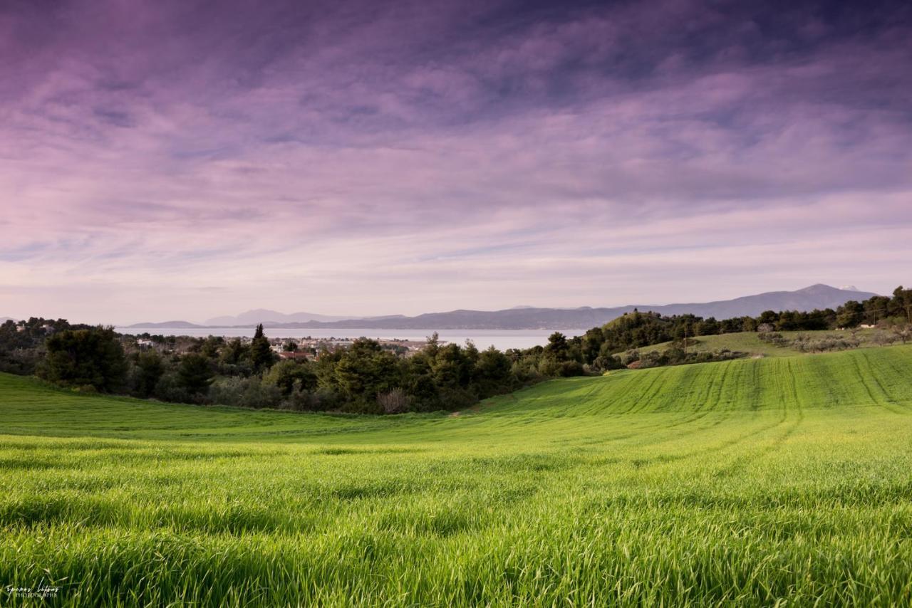 Topalidi'S Home Nea Palatia Dış mekan fotoğraf